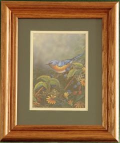 Bluebird “Berry Bush Lookout” Framed Print.