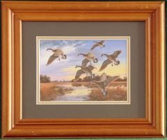 Canadian Geese “In At Dusk” Framed Print