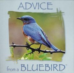 Advice From A Bluebird™ Wing Tips™ Greeting Card.