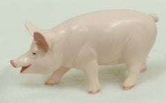 Pig (Barnyard Animal Model)
