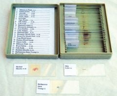 Prepared Microscope Slides: Boxed Set Of 25 Slides