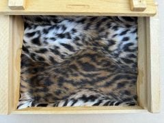 Bobcat Kind Fur® (Boxed)