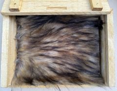 Raccoon Kind Fur® (Boxed)