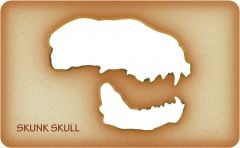Skunk Trace-A-Skull® Template