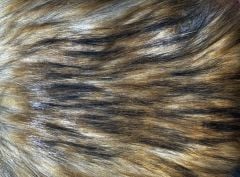 Raccoon Kind Fur® (Swatch)
