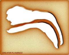 Flamingo Trace-A-Skull® Template. 