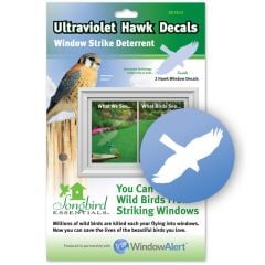 Hawk Bird-Saving Window Decal.