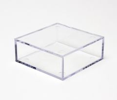 Clear Display Case "B" (Small Flat Square)