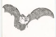 Bat Rubber Stamp
