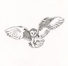 Owl Rubber Stamp