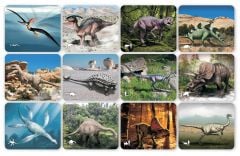 Discover Dinosaurs X-Rays and Picture Cards