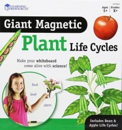 Plant Life Cycle Magnets