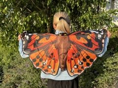 Painted Lady Butterfly Wings