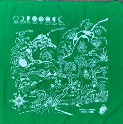 Southern California Ecosystems Scarf