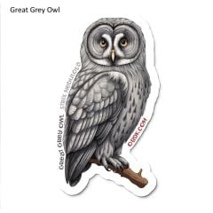 Great Gray Owl Sticker Pack (10 Stickers)