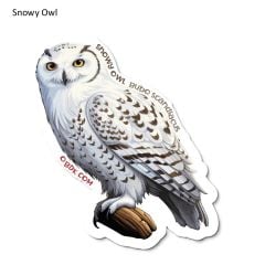 Snowy Owl Sticker Pack (10 Stickers)