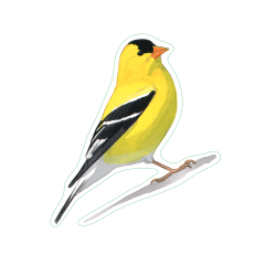 Goldfinch Sticker Pack (10 Stickers)
