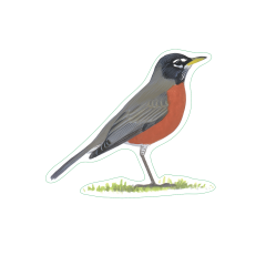 Robin Sticker Pack (10 Stickers)