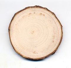 Pine (White) Tree Round