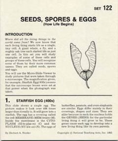 Seeds, Spores And Eggs (Microslide® Lesson Set).