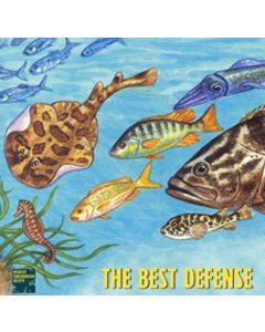 Ely Jelly: Best Defense Student Book