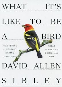 What It's Like to Be a Bird: From Flying to Nesting, Eating to Singing; What Birds Are Doing, and Why