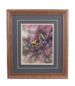 Finches "Goldfinches & Redbud" Framed Print (8" x 10")