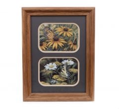 Butterflies "Monarch & Tiger Swallowtail" Framed Double Print