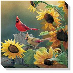 Cardinals Sunny Side Up Wall Canvas