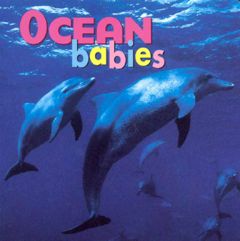 Ocean Babies (Board Book)