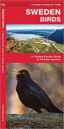 Sweden Birds (Pocket Naturalist® Guide)