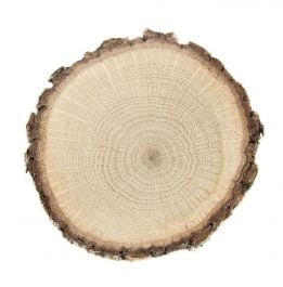 White Oak Tree Round