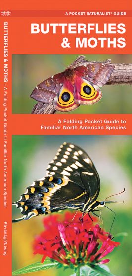 Butterflies And Moths Of North America (Pocket Naturalist® Guide).