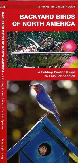 Backyard Birds Of North America (Pocket Naturalist® Guide)