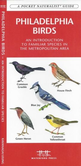 Philadelphia Birds (Pocket Naturalistֳ‚ֲ® Guide).