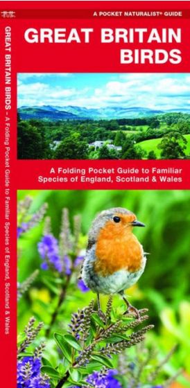 Great Britain Birds (Pocket Naturalist® Guide)