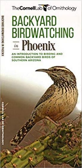 Backyard Birdwatching in Phoenix (All About Birds Pocket Guide®)
