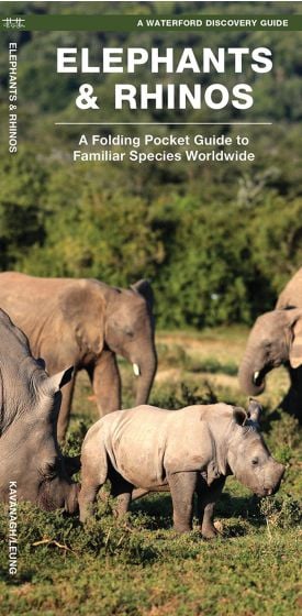 Elephants & Rhinos (Waterford Discovery® Guide)