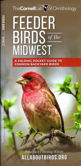 Feeder Birds of the Midwest (All About Birds Pocket Guide®)