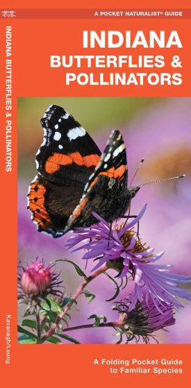 Indiana Butterflies & Pollinators (Pocket Naturalist® Guide)