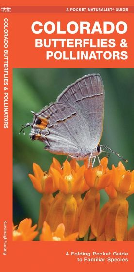 Colorado Butterflies & Pollinators (Pocket Naturalist® Guide)