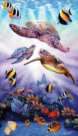 Turtle Play (500 Piece Puzzle)