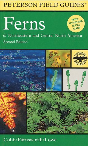 Ferns (Peterson Field Guide)