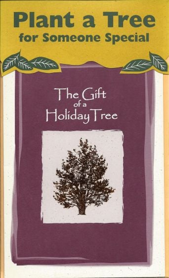 Gift Of A Holiday Tree