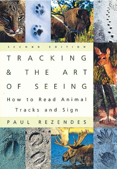 Tracking And The Art Of Seeing