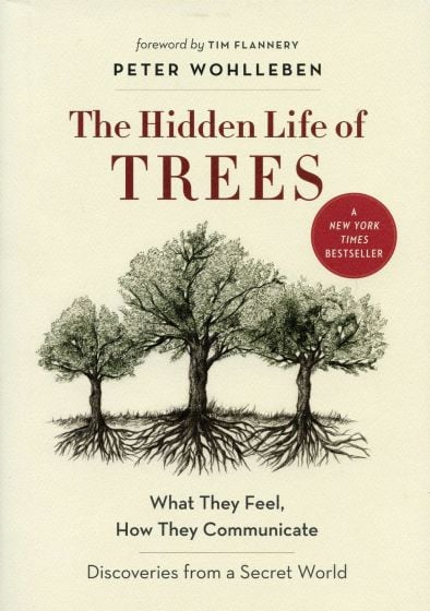 The Hidden Life of Trees: What They Feel, How They Communicate