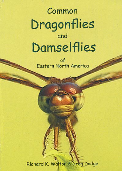Common Dragonflies And Damselflies Of Eastern North America (Dvd)