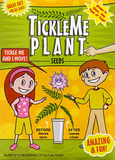 Tickle Me Plant Seed Packs
