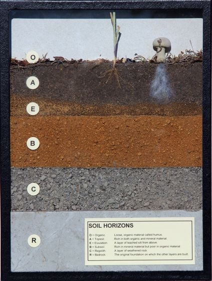 Soil Horizons Display