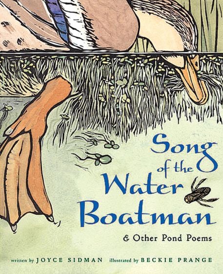Song Of The Water Boatman